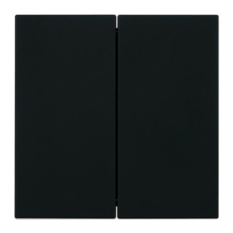 Переключатель 2-клавишный (механизм), STEKKER, 250В, 10А, серия Мия, RSW10-3107-05, черный бархат - фото 103094