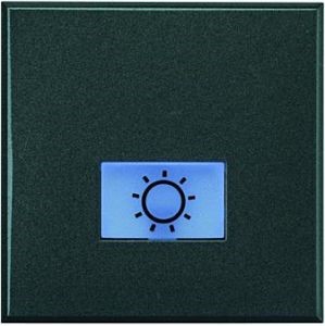 BT Axolute Антрацит Кнопка 1Р (NO) 10 А 250 В~, 2 модуля - фото 28694