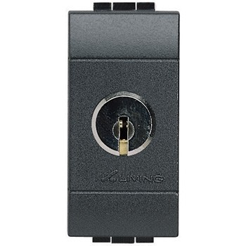 L4022C Bticino LivingLight. Переключатель с ключом. цвет антрацит - фото 28766