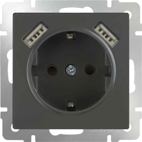 Розетка с заземлением, шторками и USB х2 Werkel WL07-SKGS-USBx2-IP20 серо-коричневый - фото 29829
