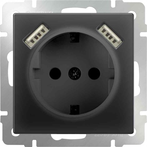 Розетка с заземлением, шторками и USB х2 Werkel WL08-SKGS-USBx2-IP20 черный матовый - фото 29831