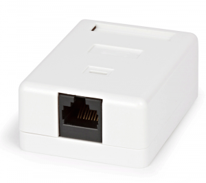 Розетка компьютерная RJ-45 (8P8C) накладная белая одинарная - фото 30245