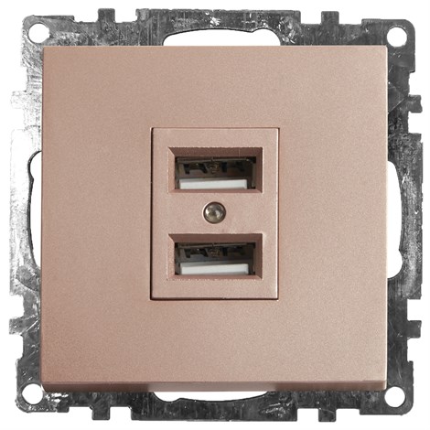 Розетка USB 2-местная (механизм), STEKKER GLS10-7115-02, 250B, 2,1A, серия Катрин, шампань - фото 63362