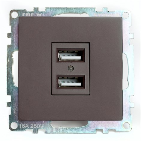 Розетка USB 2-местная (механизм), STEKKER GLS10-7115-04, 250B, 2,1А, серия Катрин, шоколад - фото 68309