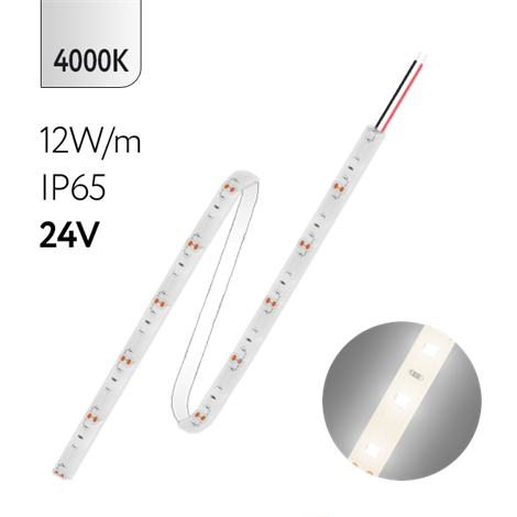 FL-Strip 2835- SW60-NW 12.0W/m 4000K DC-24V IP65 10*5000mm 1250lm/m - фото 82605