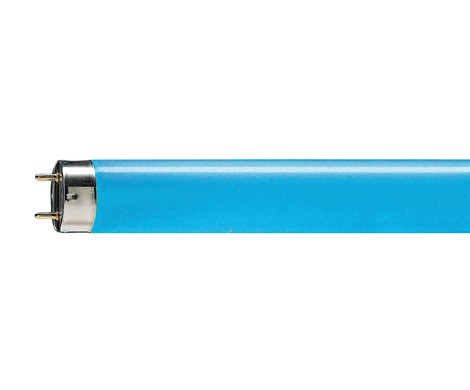 PHILIPS TL-D 36W/ BLUE G13 700 lm d26x1200mm (синяя) - цветная лампа - фото 88063