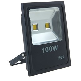 Прожектор ЭРА LPR-100-6500К-М
