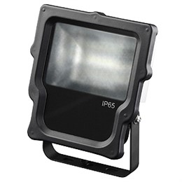 Прожектор светодиодный ЭРА LPR-10-2700К-P1