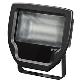 Прожектор ЭРА LPR-50-4000К-P1