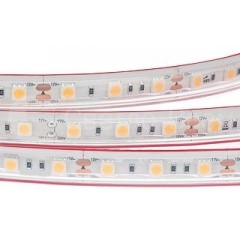 Лента RTW 2-5000PS 24V Warm3000 2x (5060, 300 LED)
