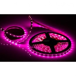 Лента RT 2-5000 12V Pink (3528, 300 LED, LUX)