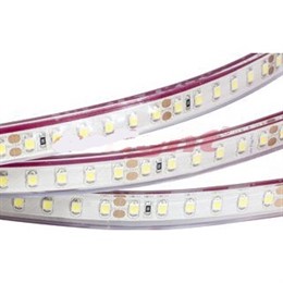 Лента RTW2-5000PGS 24V Day White2x(3528,600LED,LUX)