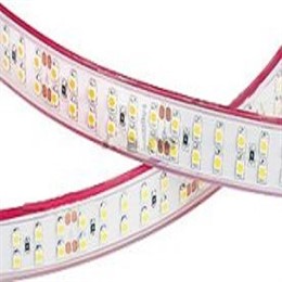 Лента RTW 2-5000P 24V White 2x2 (3528,1200LED,LUX)