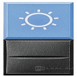 BT Axolute Антрацит Axial Кнопка с рассеивателем,1Р,голубой с симв.лампа,230 и 127 В~,10 А