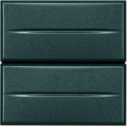 BT Axolute Антрацит Axial Выключатель кнопочный 10А (2 NO контакта), 2 мод