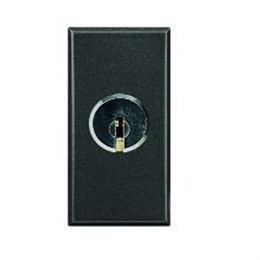 BT Axolute Антрацит Выключатель 2Р 16 А 250 В~ с ключом