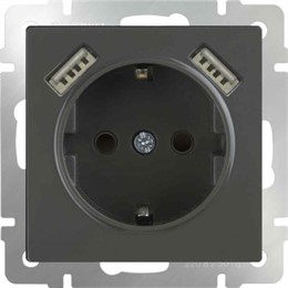 Розетка с заземлением, шторками и USB х2 Werkel WL07-SKGS-USBx2-IP20 серо-коричневый