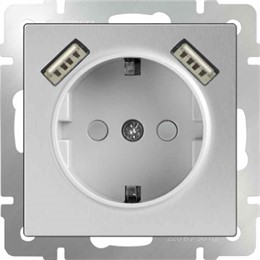 Розетка с заземлением, шторками и USB х2 Werkel WL06-SKGS-USBx2-IP20 серебряный