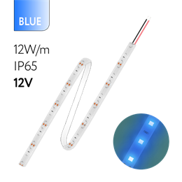 FL-Strip 2835- SW60- B 12.0W/m BLUE DC-12V IP65 10*5000mm