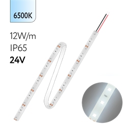FL-Strip 2835- SW60-CW 12.0W/m 6500K DC-24V IP65 10*5000mm 1250lm/m