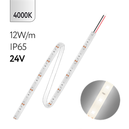 FL-Strip 2835- SW60-NW 12.0W/m 4000K DC-24V IP65 10*5000mm 1250lm/m