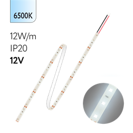 FL-Strip 2835 - S60- CW 12.0W/m 6500K DC-12V IP20 10*5000mm 1250lm/m