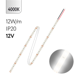 FL-Strip 2835 - S60- NW 12.0W/m 4000K DC-12V IP20 10*5000mm 1250lm/m