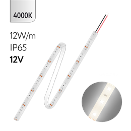 FL-Strip 2835 - SW60-NW 12.0W/m 4000K DC-12V IP65 10*5000mm 1250lm/m