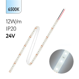 FL-Strip 2835- S60- CW 12.0W/m 6500K DC-24V IP20 10*5000mm 1250lm/m