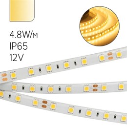 FL-Strip 3528-SW 60- WW т.бел 4.8W/m DC-12V IP65 8*5000mm 240lm/m
