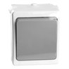 Выключатель 1-клавишный STEKKER, PSW10-211-54, открытой установки, 250В, 10А, IP54, белый/серый - фото 100566