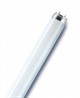 OSRAM-СМ new L18W/ 830 LUMILUX G13 d26x590mm 1350lm 3000K - лампа - фото 20492