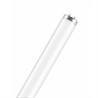 Люминесцентная лампа OSRAM L65/640 XL Fa6 - фото 20700