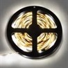 Ecola LED strip PRO 4,8W/m 12V IP20 8mm 60Led/m 6000K 6Lm/LED 360Lm/m светодиодная лента на катушке 5м - фото 23398