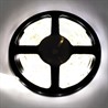 Ecola LED strip PRO 4,8W/m 12V IP65 8mm 60Led/m 2800K 6Lm/LED 360Lm/m светодиодная лента на катушке 5м - фото 23407