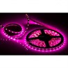 Лента RT 2-5000 12V Pink (3528, 300 LED, LUX) - фото 23591