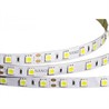 Лента RTW 2-5000SE 24V Yellow 2x (5060,300 LED,LUX - фото 23718