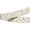 Лента RT 2-2500 24V White 3x2 (5060, 350 LED, LUX) - фото 23787