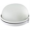Светильник НПБ1101 белый/круг 100Вт IP54 TDM - фото 23947