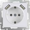 Розетка с заземлением, шторками и USB х2 Werkel WL01-SKGS-USBx2-IP20 белая - фото 29828