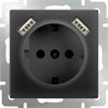 Розетка с заземлением, шторками и USB х2 Werkel WL08-SKGS-USBx2-IP20 черный матовый - фото 29831