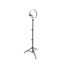MOBILE CAMERA LIGHT RING 2100 (USB/клипса для моб/2.4м тренога) - светильник для сэлфи LEDV - фото 43583