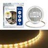 Cветодиодная LED лента Feron LS604, 60SMD(2835)/м 4.8Вт/м  5м IP65 12V 3000К - фото 50607