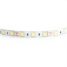Cветодиодная LED лента Feron LS607, 60SMD(5050)/м 14.4Вт/м  5м IP65 12V 6500К - фото 50638