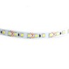 Cветодиодная LED лента Feron LS612, 120SMD(2835)/м 9.6Вт/м  5м IP20 12V 6500К - фото 50856