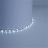 Cветодиодная LED лента Feron LS603, 60SMD(2835)/м 4.8Вт/м  1м IP20 12V 6500К - фото 50906