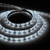 Cветодиодная LED лента Feron LS604, 60SMD(2835)/м 4.8Вт/м  1м IP65 12V 6500К - фото 50913