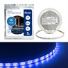Cветодиодная LED лента Feron LS603, 60SMD(2835)/м 4.8Вт/м  5м IP20 12V синий - фото 50944