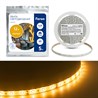 Cветодиодная LED лента Feron LS604, 60SMD(2835)/м 4.8Вт/м  5м IP65 12V желтый - фото 50950