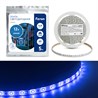 Cветодиодная LED лента Feron LS604, 60SMD(2835)/м 4.8Вт/м  5м IP65 12V синий - фото 50965